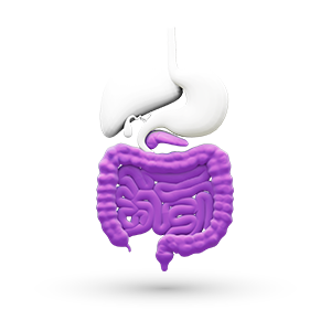 Gastroentology icon