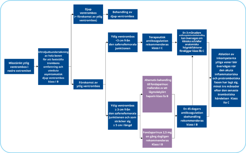 Flödesschema över rekommendationer för behandling av ytlig ventrombos6