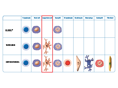 Elidel® Verkningsmekanism 